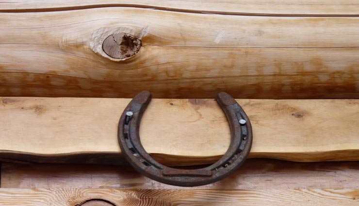 astrology tips,astrology tips in hindi,importance of black horseshoe,black horseshoe remedies