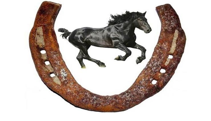 astrology tips,astrology tips in hindi,importance of black horseshoe,black horseshoe remedies