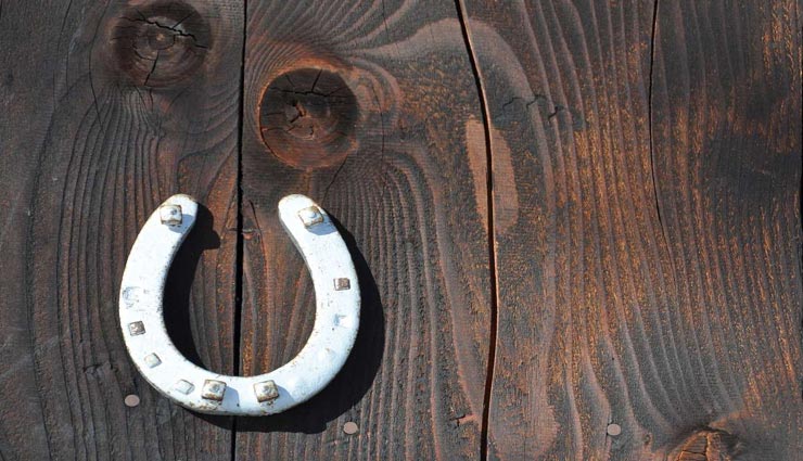 astrology tips,astrology tips in hindi,horseshoe benefits,horseshoe in door