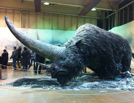 What Happened to the Last One-Horned Giant Rhinoceros?