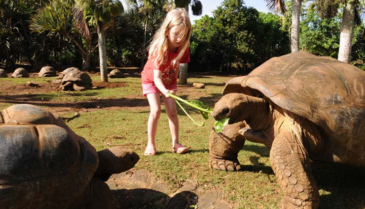 things to do in mauritius,mauritius attractions,must-visit places in mauritius,mauritius travel experiences,top activities in mauritius,exploring mauritius,tourist hotspots in mauritius,mauritius adventure and culture,best sightseeing spots in mauritius,mauritius travel guide