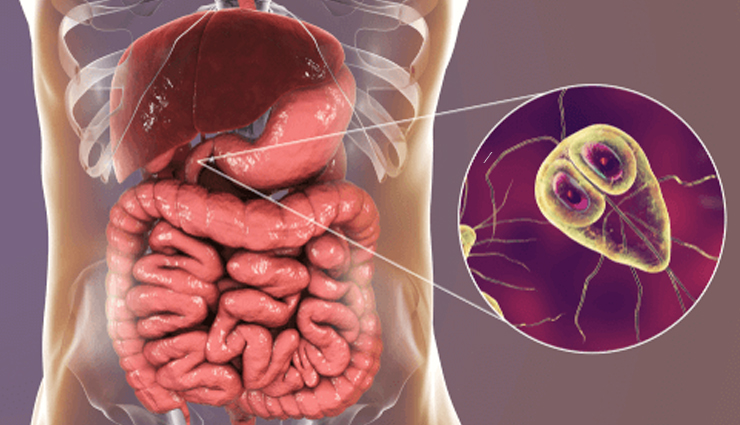 waterborne diseases,waterborne illness prevention,water contamination,safe drinking water,water treatment methods,waterborne pathogens,water quality testing,water filtration systems,water disinfection methods,waterborne illness symptoms and treatment