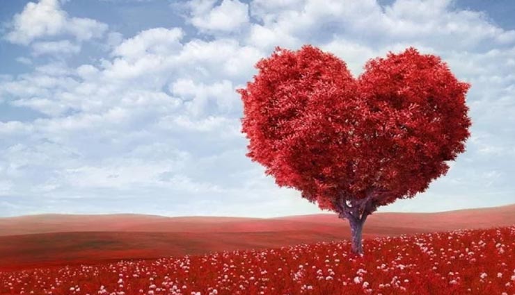 वैलेंटाइन डे पर भूलकर भी ना दे पार्टनर को ये गिफ्ट, रिश्तों में आती हैं दूरियां