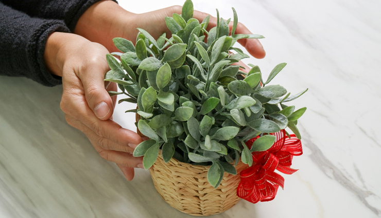 romantic gifts,romantic gifts for new couple,couple gift ideas,realtionship tips