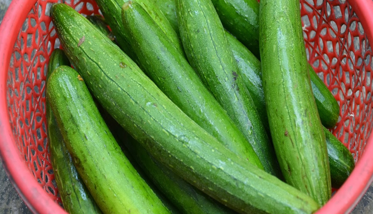 7 Amazing Health Benefits of Eating Snake Gourd
