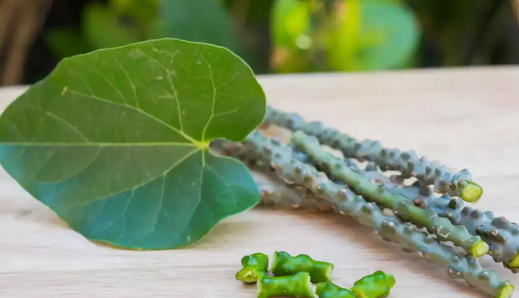 health benefits of giloy,giloy benefits,giloy for immunity,giloy juice benefits,giloy for fever,giloy for diabetes,giloy for skin,giloy for weight loss,giloy ayurvedic benefits,giloy medicinal uses,giloy anti-inflammatory properties,giloy for detox,giloy for digestion,giloy herbal remedy