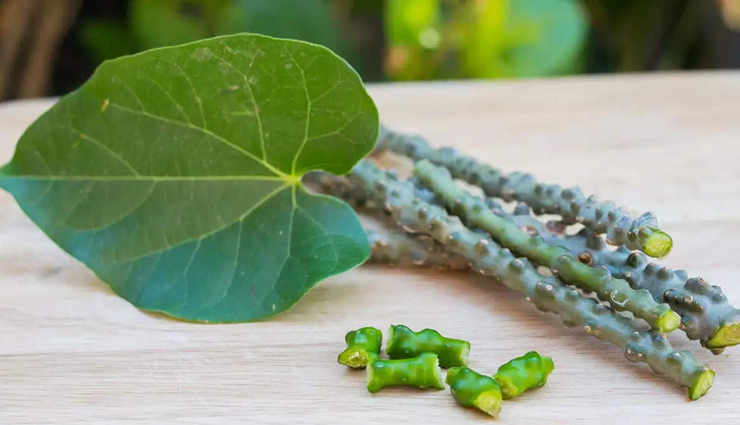 ayurvedic herbs best for your skin,skin care tips,ayurvedic herbs for skin,skin benefits with ayurvedic herbs,beauty tips,beauty hacks