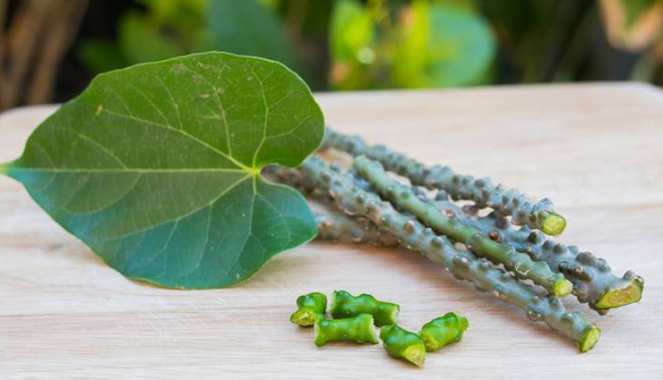 6 Amazing Health Benefits of Giloy