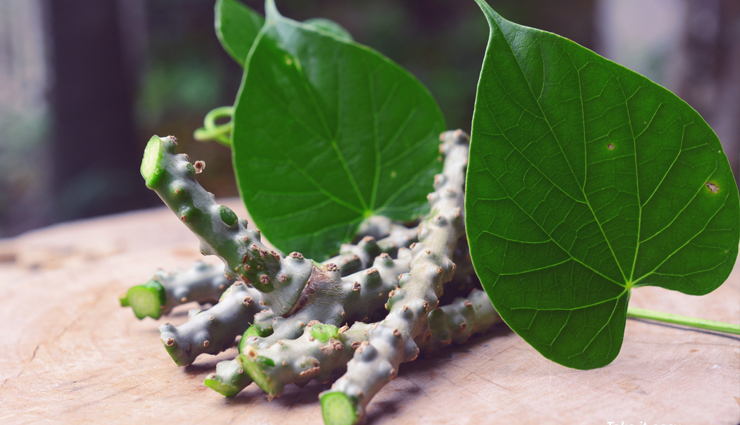 इन 10 चीजों से बढाएं अपने शरीर की इम्युनिटी, बीमारियां रहेगी कोसों दूर immunity,immunity booster food,food to eat increase immunity,healthy food,Health tips,healthy living