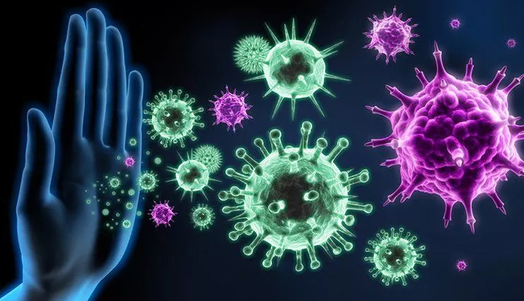 giloy,health benefits of giloy,Health tips,fitness tips