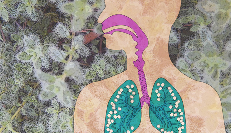 benefits of consuming ginger,health benefits of ginger,Health tips,fitness tips