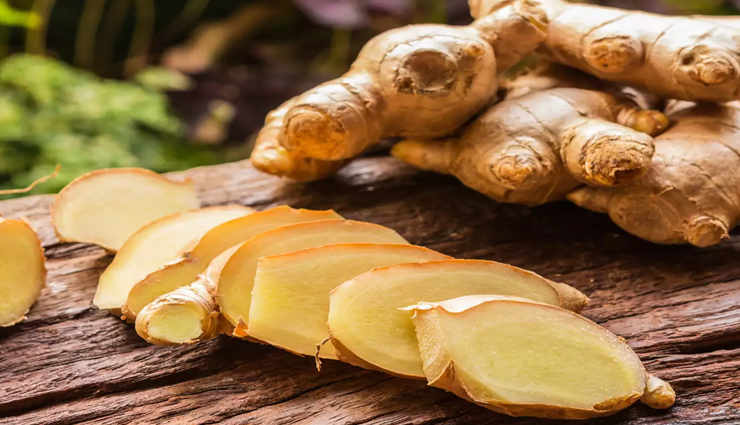 kitchen herbs list,kitchen herbs plants,kitchen herbs india,kitchen herb seeds,kitchen herbs and their uses,kitchen herbs and spices,kitchen herbs and spices list,Health,heallth benefits