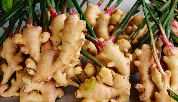 farting problem home remedies,get rid of excessive flatulence,natural remedies for farting,home remedies for excessive gas,reduce flatulence naturally,effective remedies for farting,home remedies for excessive farting,manage flatulence with home remedies,natural ways to reduce farting,home remedies for excessive gas and bloating