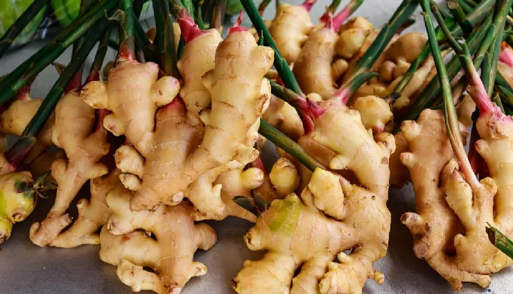 whooping cough,pertussis,whooping cough symptoms,home remedies for pertussis,natural treatment for whooping cough,persistent cough relief,bordetella pertussis,respiratory infection remedies,intense cough treatment,whooping cough causes and cure