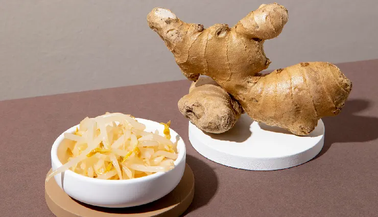 bacterial infection home remedies,natural remedies for bacterial infections,how to treat bacterial infections naturally,antibiotics alternatives,immunity boosting remedies,fight bacterial infections naturally,bacterial infection treatment at home,natural infection cures,bacterial infection prevention,home care for bacterial infections