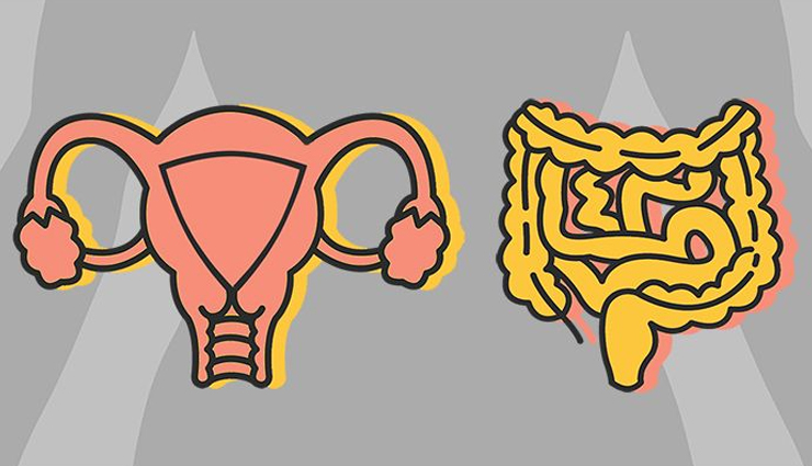 benefits of ginger,health benefits of ginger,ginger,Health tips,fitness tips