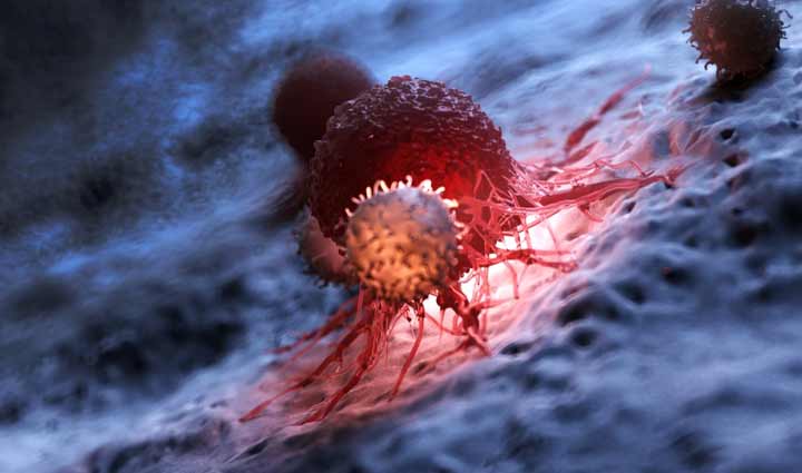 amazing health benefits of ginger,Health,healthy living