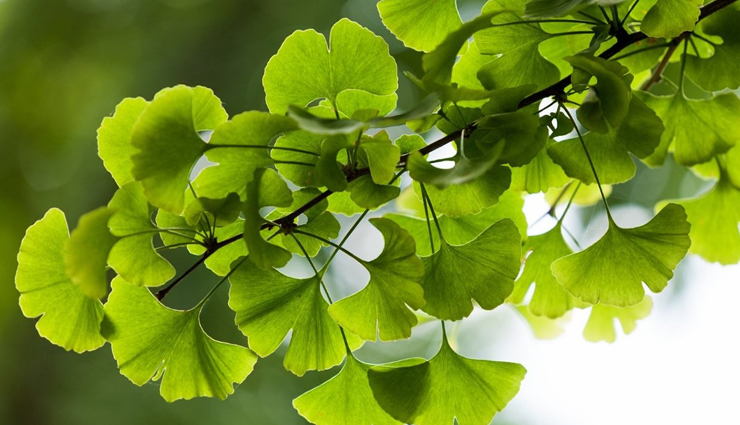 bipolar disorder,bipolar disorder treatment,bipolar disorder symptoms,bipolar disorder test,bipolar disorder definition,bipolar disorder treatment,bipolar disorder and alcohol,bipolar disorder assessment,bipolar disorder causes,bipolar disorder criteria,bipolar disorder case study,vitamin c bipolar disorder,hepatitis c bipolar disorder,bipolar disorder diagnosis,bipolar disorder depression,bipolar disorder disability,Health,Health tips