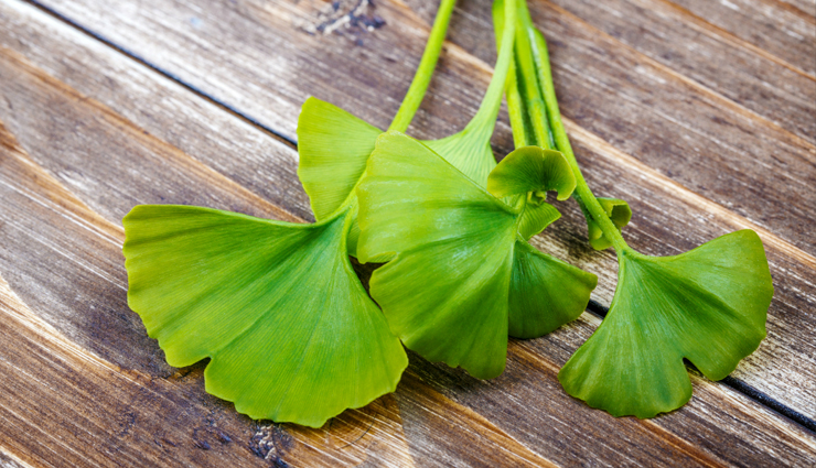 vertigo,remedies that are helpful for vertigo,vertigo problem,vertigo treatment,Health,Health tips,healthy living