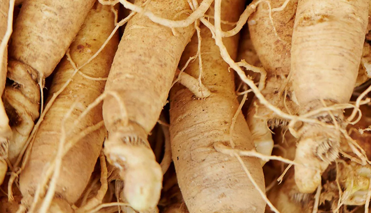 herbs to control diabetes,Health tips,healthy living