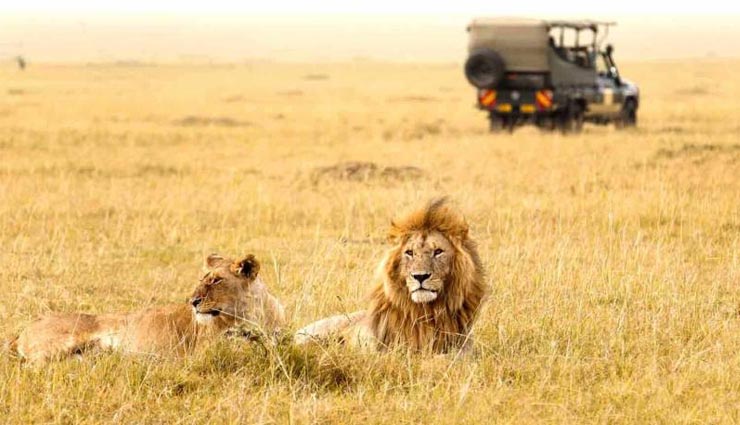 you must visit these 5 forests if you love nature