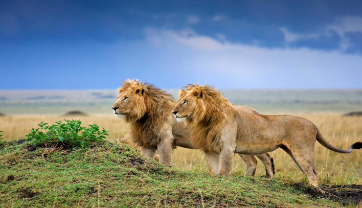 travel places,gujarat tourism,gujarat places