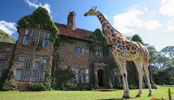 unique hotels,unusual accommodations,extraordinary hotels,offbeat stays,quirky hotels,boutique hotels,unconventional lodging,exceptional accommodations,whimsical hotels,novelty stays,exclusive resorts,eclectic accommodations,luxury hotels,unforgettable experiences,bucket list hotels,remarkable stays,distinctive accommodations,boutique resorts,uncommon hotels,unparalleled experiences