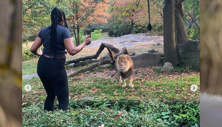 शेर को पसंद नहीं आया लड़की का डांस, मुंह फेर कर चल दिया आगे, वीडियो वायरल