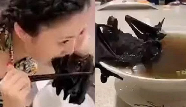 लड़की ने खाया चमगादड़ और दुनियाभर में फैल गया कोरोना वायरस!