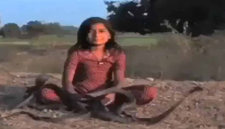 खतरनाक कोबरा के साथ इस बच्ची का खेल देख हर कोई हो रहा हैरान, देखें VIDEO 