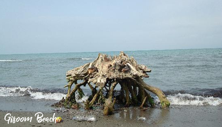 beaches in iran,most beautiful beaches in iran,5 most beautiful beaches in iran,iran beaches,ladies beach,marjan beach,zeitoon beach,gisoom beach,bandar abbas beach,travel,holidays,travel guide,travel tips