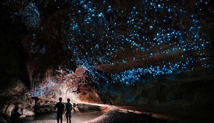 6 Amazing Places To Spot Glow Worms in New Zealand