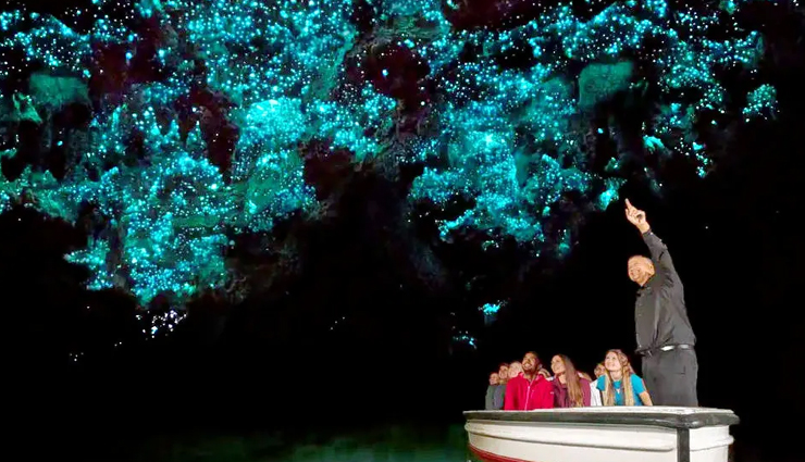 glow worm spotting in new zealand,best places to see glow worms,new zealand glow worm destinations,where to find glow worms in new zealand,top spots for glow worm viewing,discovering glow worms in new zealand,glow worm hotspots in new zealand,new zealand glowing wonders,must-visit glow worm locations,exploring glow worm caves in new zealand