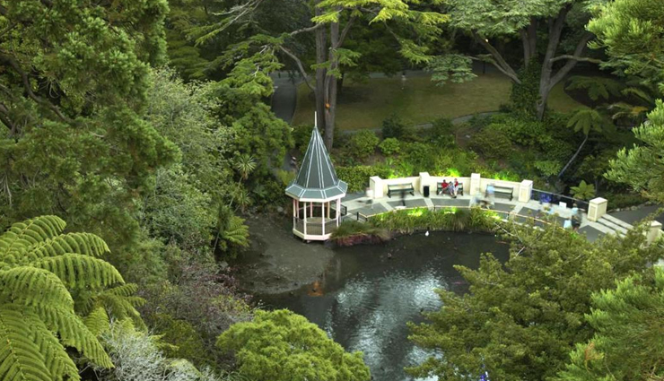 glow worm spotting in new zealand,best places to see glow worms,new zealand glow worm destinations,where to find glow worms in new zealand,top spots for glow worm viewing,discovering glow worms in new zealand,glow worm hotspots in new zealand,new zealand glowing wonders,must-visit glow worm locations,exploring glow worm caves in new zealand