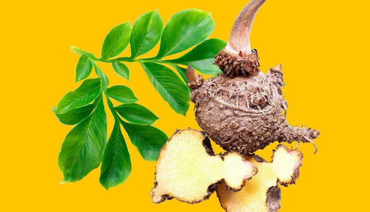 belly fat burning foods,foods for flat stomach,healthy weight loss foods,metabolism-boosting foods,fat-burning diet,belly fat reduction tips,nutrition for weight loss,healthy living tips,superfoods for weight loss,foods that burn belly fat fast