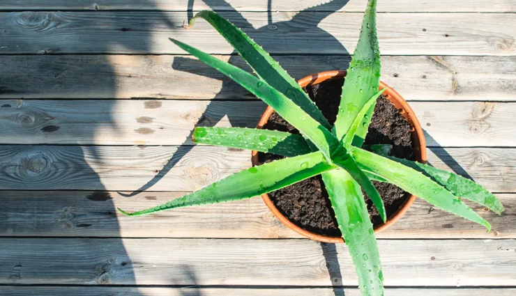 diy face masks,diy face masks using glycerin,glycerin for skin,skin care tips,beauty tips