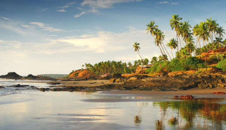 dolphins,spotting dolphins,spotting dolphins in india,tourist places in india,india tourism,travel,holidays