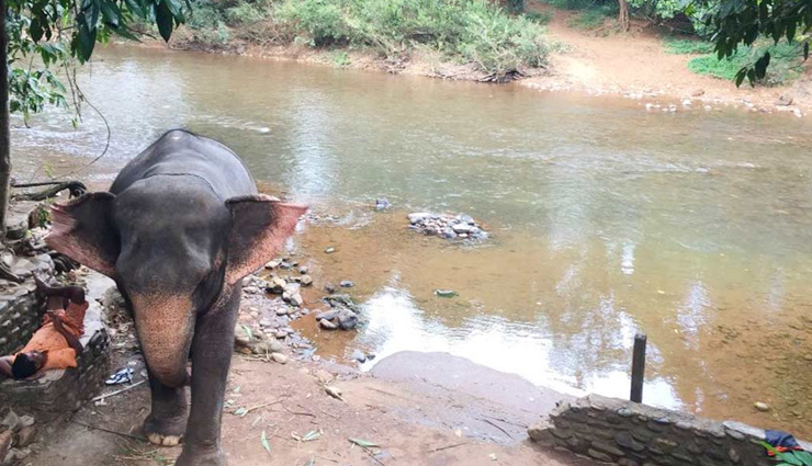 goa,places to visit in goa,goa tourism,best beaches in goa,goa travel guide,top attractions in goa,things to do in goa,goa sightseeing,historical places in goa,adventure activities in goa,goa nightlife,goa best tourist spots,famous churches in goa,goa travel tips,best time to visit goa