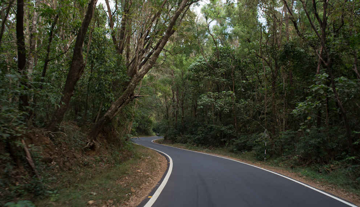 goa,things to do in goa,places to visit in goa