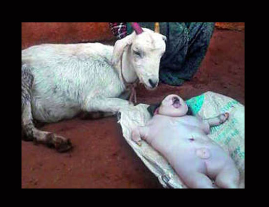 STRANGE!! A Goat Gave Birth To a Human Baby