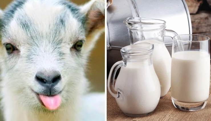 Health tips,health tips in hindi,home remedies,dengue,blood platelets