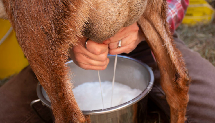 epilepsy symptoms,causes of epilepsy,epilepsy treatment options,understanding epilepsy and its symptoms,managing epilepsy with effective treatment,epilepsy causes and risk factors,epilepsy diagnosis and treatment,living with epilepsy: symptoms and treatment,epilepsy management and care,seeking help for epilepsy: symptoms,causes,and treatment