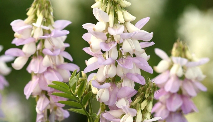 best foods to increase breast milk supply,natural ways to boost lactation,foods for breastfeeding moms,lactation-boosting diet,home remedies for increasing breast milk,breastfeeding nutrition tips,foods to enhance lactation,milk-boosting ingredients,increase breast milk production naturally,nutritious foods for breastfeeding