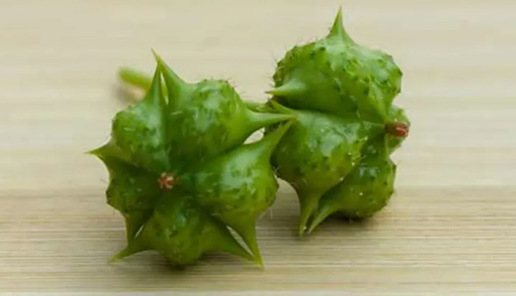 Have You Ever Heard About Gokshura? Here is Everything You Need To Know About It