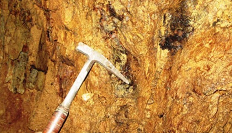 सोनभद्र : आसान नहीं होगा सरकार के लिए सोना निकालना, दुनिया के जहरीले 'सांपों' का है बसेरा poisonous snake in sonbhadra,gold mine in sonbhadra,poisonous snake nest,weird news