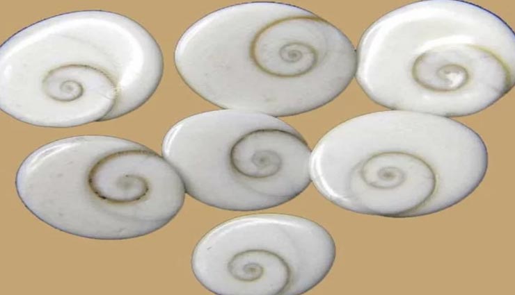 astrology tips,astrology tips in hindi,purse related vastu,things bring money