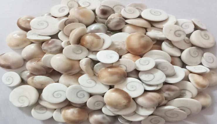 astrology tips,astrology tips in hindi,money crunch,things in wallet get good fortune