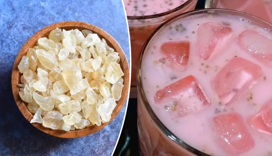 गर्मी में राहत देगा गोंद कतीरे का शरबत, घर पर मिनटों में बनाएं यह हेल्दी और टेस्टी ड्रिंक गर्मी में राहत देगा गोंद कतीरे का शरबत, घर पर मिनटों में बनाएं यह हेल्दी और टेस्टी ड्रिंक