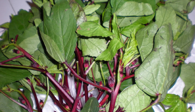 gongura pachadi,sorrel leaves chutney,south indian chutney recipe,tangy and spicy chutney,side dish for rice,side dish for roti,easy chutney recipe,indian chutney recipe,step by step recipe,gongura sorrel leaves recipe,vegetarian recipe,healthy recipe,tamarind pulp,jaggery sugar,mustard seeds,urad dal,hing asafoetida