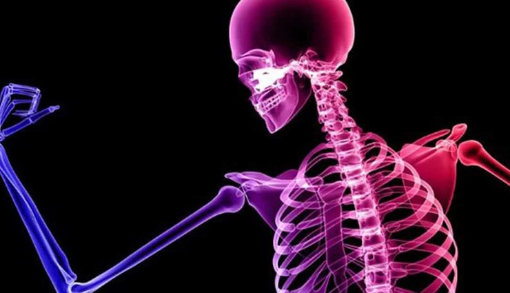 पोषक तत्वों से भरपूर अखरोट हैं एक सुपरफूड, सेहत को मिलते हैं ये गजब के फायदे health benefits of walnuts,nutritional value of walnuts,how walnuts improve health,benefits of eating walnuts daily,role of walnuts in disease prevention,healthy fats in walnuts,antioxidants in walnuts,benefits of walnuts for heart health,walnuts for brain health and cognition,incorporating walnuts into a healthy diet